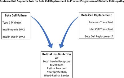 Diabetic Retinopathy and Insulin Insufficiency: Beta Cell Replacement as a Strategy to Prevent Blindness